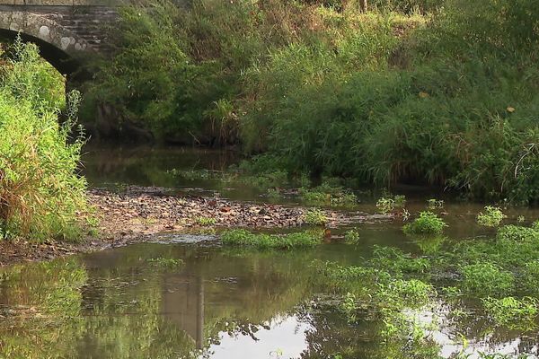 L'ille-et-Vilaine n'a pas retrouvé un niveau suffisant dans ses cours d'eau. Le département placé en vigilance sécheresse.