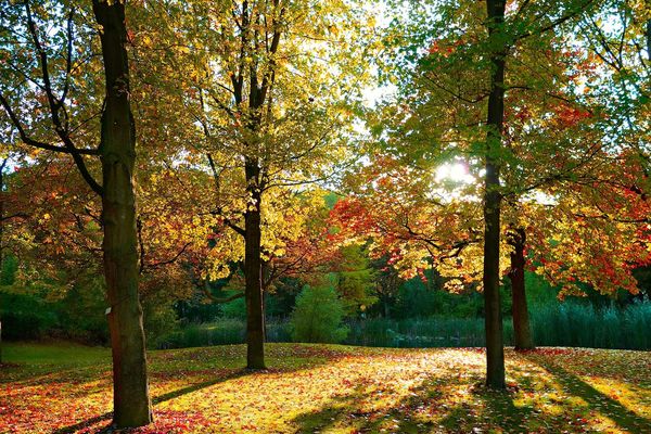 L'ambiance est bien automnale avec des températures légèrement en dessous des moyennes de saison