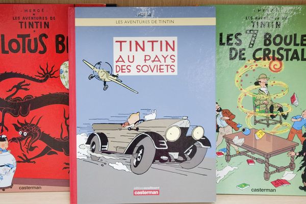 Outre des classiques de la BD francophone, figuraient aussi des comics comme les Marvel, ou la série Walking Dead, qui figurent dans le butin retrouvé par la police lyonnaise cette semaine.