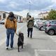 Anne-Sophie et Jonathan, éducateurs de rue, font très souvent le tour du quartier avec la chienne, Moon.