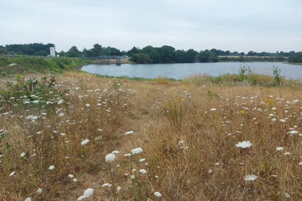 l'étang des Gazineaux est une des deux  sources de production d'eau potable sur le terrtioire du Pays de Retz en Loire-Atlantique