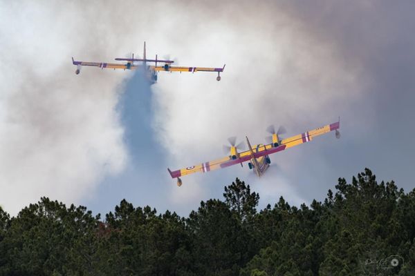 Deux Canadair en action dans le ciel du Gard, lors de l'incendie survenu mi juin à Serviers-et-Labaune, près d'Uzès,