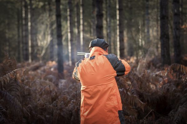 Ouverture de la chasse dimanche 13 septembre à 8h