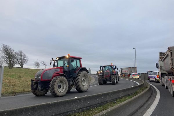 Les tracteurs entrent sur l'A16 à hauteur de Marquise dans le Pas-de-Calais lundi 29 janvier.