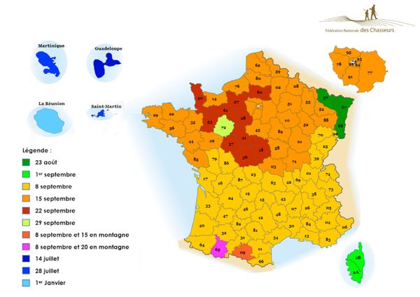 Chasse En France Ce Que Dit La Loi