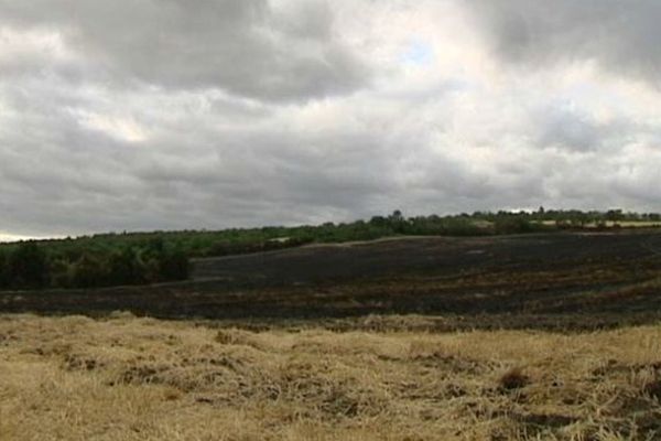 Un champ de chaume de 5 ha a brûlé en quelques minutes à Lempdes mardi 7 juillet. Depuis le 30 juin et le début de la canicule, les départs de feux de broussailles se multiplient dans le Puy-de-Dôme.