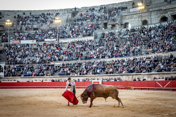 Des sénateurs se sont déjà positionnés pour interdire la corrida aux moins de 16 ans.