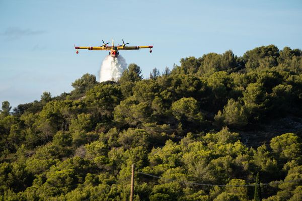 Trois avions bombardiers d'eau sont intervenut sur le feu de forêt qui s'est déclenché sur la commune de Chepniers en Charente-Maritime. (Photo d'illustration)