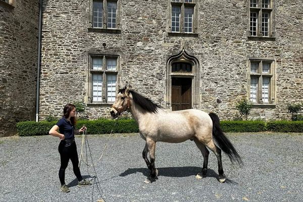 Château de Pompadour en Corrèze