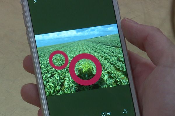 Maxime Gautreau, jeune agriculteur qui utilise les réseaux sociaux