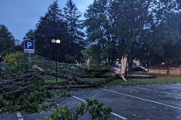 De l'autre côté de la frontière, dans le Val de Travers, certains arbres n'ont pas résisté aux grosses rafales de vent de la nuit