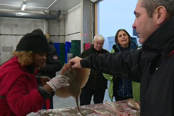 Savoir reconnaître et distinguer les poissons.