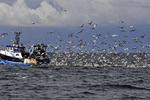 Un chalutier dans le Morbihan