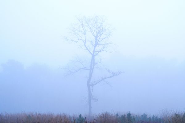 Brouillard et grisaille pour la météo de ce mardi 05 novembre 2024 dans les Hauts-de-France.