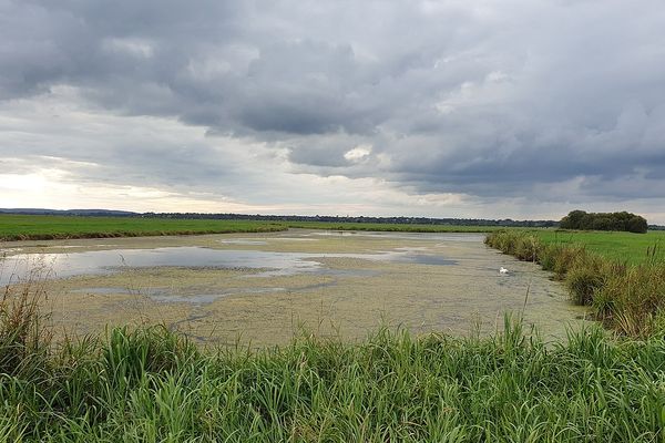 Dans la Manche, un ciel gris ce DIMANCHE matin sur les marais de Carentan.