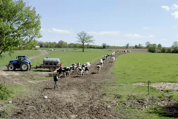 En 50 ans, l'agriculture a connu une transition historique