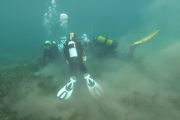 Un millier de bénévoles a participé à l'opération Net'Léman ce week-end pour débarrasser le lac de 3,5 tonnes de déchets.