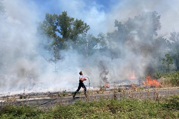 Un feu de végétation est en cours à Lyon sur le boulevard le long de la Doua ce lundi 20 juin.