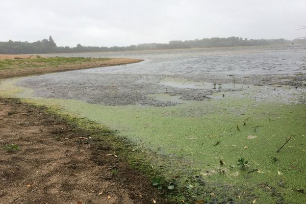 La préfecture du Maine-et-Loire a pris cette semaine un arrêté interdisant la pêche dans la Loire.