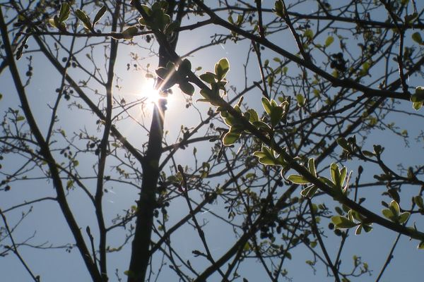 Le soleil et les chaleurs des dernières semaines commencent à préoccuper les agriculteurs de l'Oise et de l'Aisne.