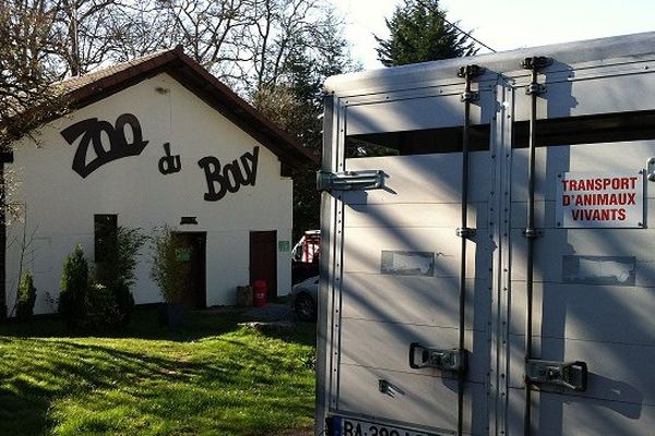 Quinze camions de transports d'animaux sont nécessaires à la Fondation 30 millions d'amis pour cette opération de sauvetage des 150 animaux du Zoo du Bouy, près d'Ambert