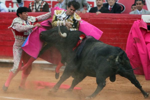 Deux oreilles et sortie en triomphe pour Joselito Adame à la Monumental. Mais cette voltereta a fait plus que de simples bobos...