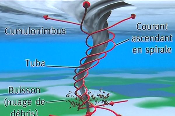 Des questions qui se posent après le passage d'une tornade, vendredi 9 août à la frontière franco-luxembourgeoise qui a fait de nombreux dégâts et 19 blessés.