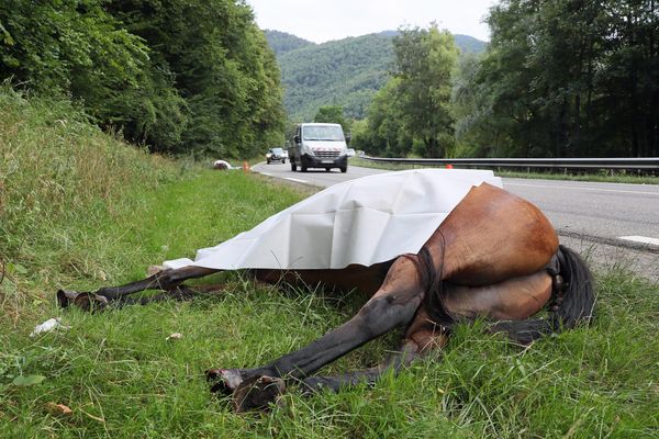 Un accident semblable avait eu lieu en août 2018 sur la D415 à hauteur de Kaysersberg. (image d'illustration)