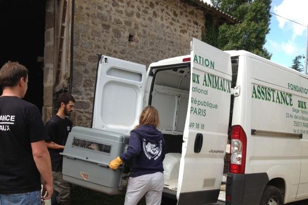 Enlèvement des animaux à la ferme de Saint-Martin-du-Fouilloux