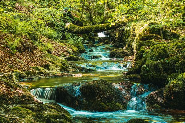 Lors de leurs vacances dans le Cantal, de nombreux touristes et photographes amateurs partagent leurs plus beaux clichés sur les réseaux sociaux.