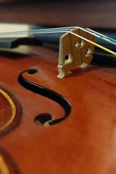 Violon, atelier de Patrice Taconné