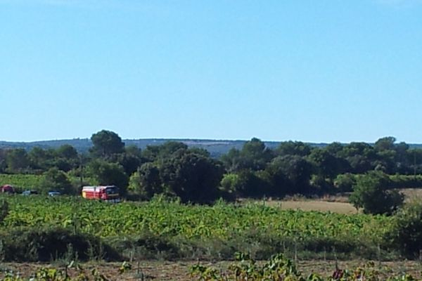 Le petit aéronef à voilure s'est écrasé au lieu-dit Daumas-Gassac, à 30 kilomètres à l'ouest de Montpellier.
