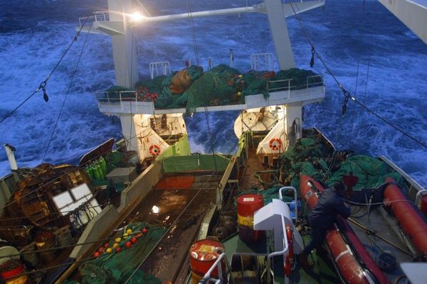 Olivier Le Nézet, président du Comité des pêches et élevage marins de Bretagne, propose de "fermer des zones de la mi-février à fin mars, pendant un mois et demi" dans le sud de l'Irlande pour sauvegarder le stock de cabillaud en mer celtique.