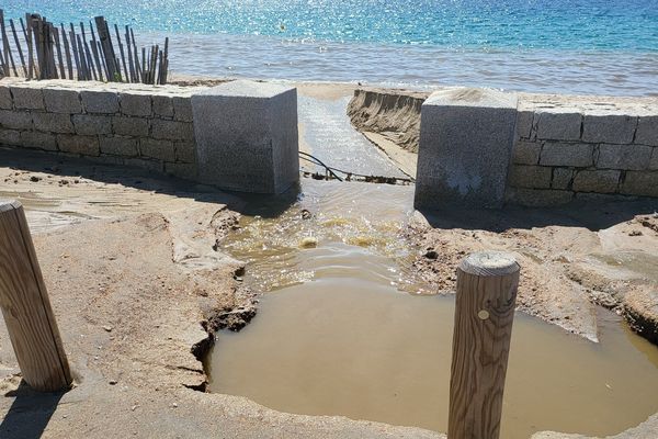 La baignade et la pêche sont interdites sur les plages du Lazaret, de Tahiti et du Ricanto à Ajaccio.