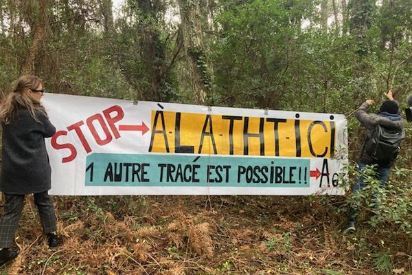 Des membres du collectif Stop THT 40 installent leur banderole dans la forêt landaise, sur le tracé de la future ligne très haute tension entre la France et l'Espagne, le 8 janvier 2025.