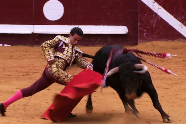 Dax, 13 septembre 2015. Joaquín Galdós et "Insólito", novillo de El Parralejo. Un final à la Julio Aparicio.