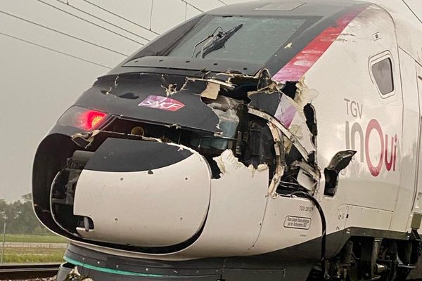 Un TGV a percuté un arbre tombé sur la ligne Paris/ Lyon ce mercredi 31 juillet.