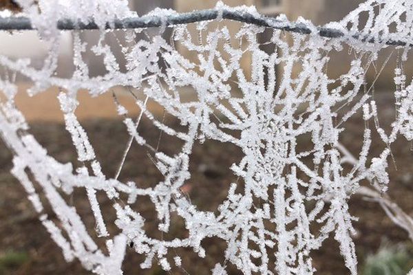 Les derniers jours ont été marqués par de fortes gelées en région Centre-Val de Loire.