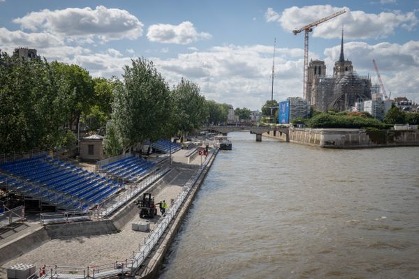 La Seine de moins en moins polluée selon de récentes analyses.