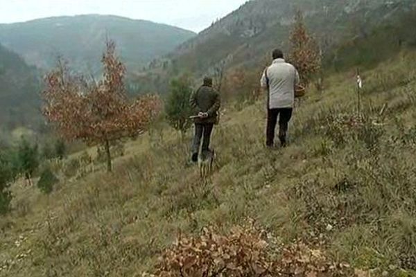 Sainte-Enimie (Lozère) - les truffières ont sauvé les paysages des Gorges du Tarn de la broussailles - janvier 2015.