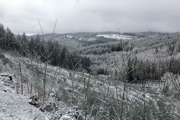 Le plateau de Millevaches métamorphosé par la neige, bientôt par le retour des arbres ?