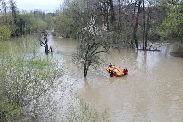 Les pompiers de Sarre-Union ont été appuyés par un spécialiste du secours animalier et par des collègues plongeurs de Strasbourg pour sauver les trois animaux.