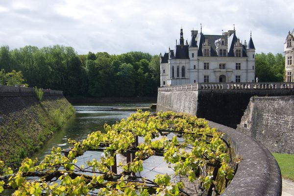 Le château de Chenonceau - Photo d'illustration