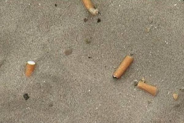 Mégots de cigarettes sur la plage à Palavas-les-Flots. Août 2015.