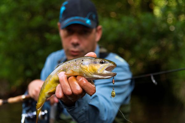 La pêche à la truite ouvre ce samedi 9 mars 2024