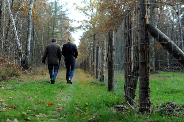 Le Conseil constitutionnel juge conformes à la Constitution des dispositions législatives encadrant l’implantation des clôtures dans les espaces naturels afin de permettre la circulation de la faune sauvage et admet en l’espèce une application rétroactive de l’obligation de mise en conformité de certaines clôtures.