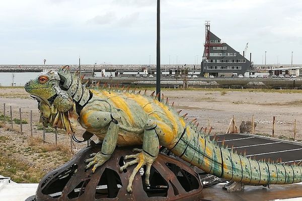 L'Iguane sentinelle