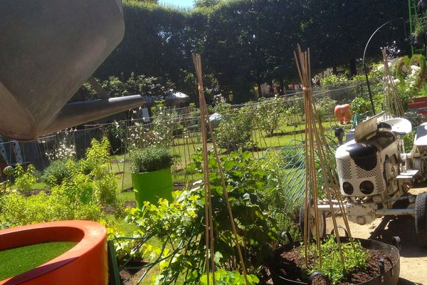 La manifestation Jardins, Jardin investit les Tuileries pour la onzième année consécutive.