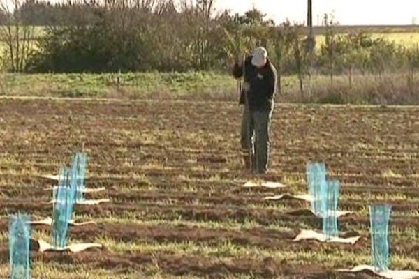 2 000 arbres vont être plantés autour du site de captage de Varaize près de La Rochelle.