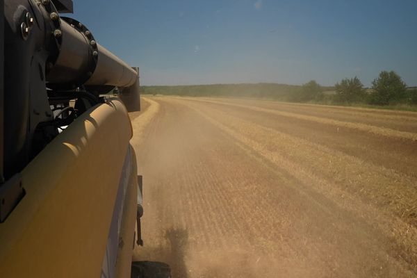 La saison des moissons est arrivée en Lorraine. Ici à Benney en Meurthe-et-Moselle.